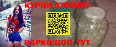 прущие крисы Гусев