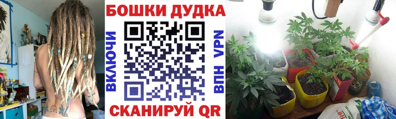 мега ссылка  купить   Котельники  Бошки марихуана гибрид 